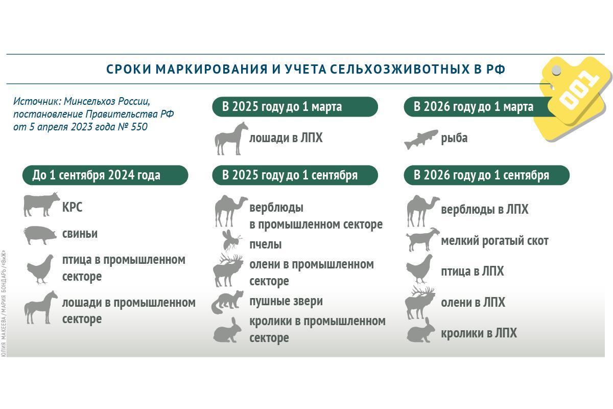 С 1 марта 2024 года обязательное маркирование сельскохозяйственных животных.